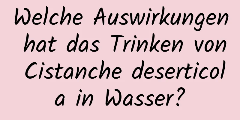 Welche Auswirkungen hat das Trinken von Cistanche deserticola in Wasser?