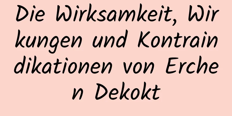 Die Wirksamkeit, Wirkungen und Kontraindikationen von Erchen Dekokt