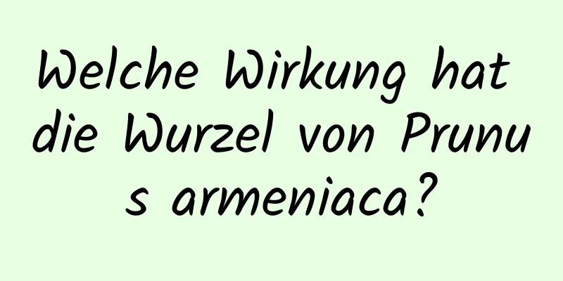 Welche Wirkung hat die Wurzel von Prunus armeniaca?