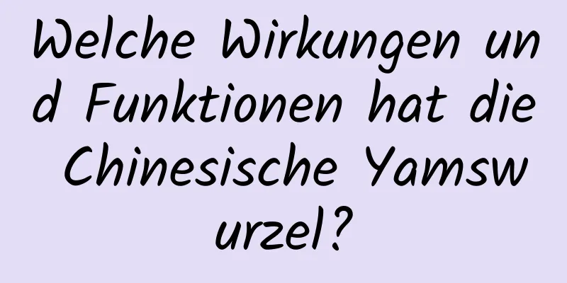 Welche Wirkungen und Funktionen hat die Chinesische Yamswurzel?