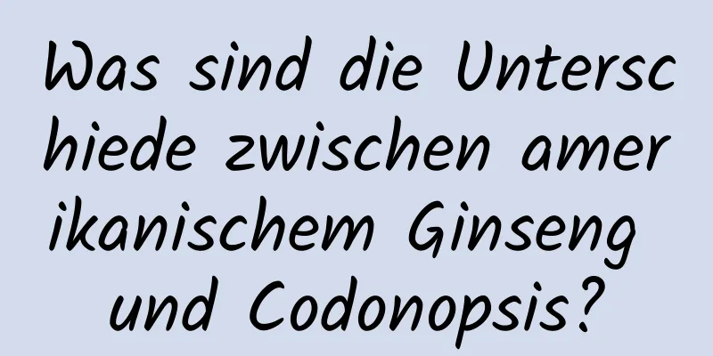 Was sind die Unterschiede zwischen amerikanischem Ginseng und Codonopsis?