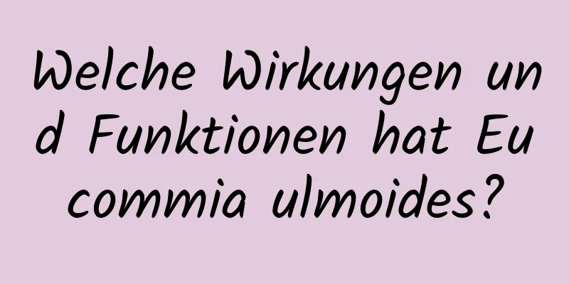 Welche Wirkungen und Funktionen hat Eucommia ulmoides?