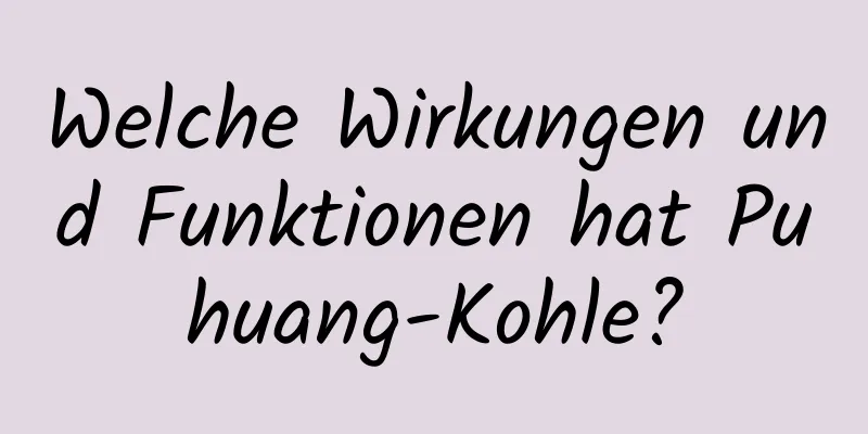 Welche Wirkungen und Funktionen hat Puhuang-Kohle?