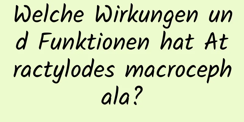 Welche Wirkungen und Funktionen hat Atractylodes macrocephala?