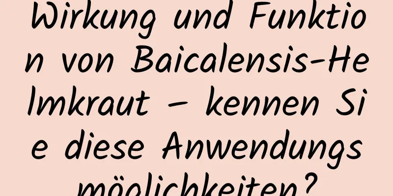 Wirkung und Funktion von Baicalensis-Helmkraut – kennen Sie diese Anwendungsmöglichkeiten?