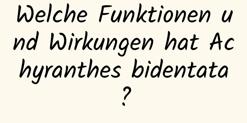 Welche Funktionen und Wirkungen hat Achyranthes bidentata?