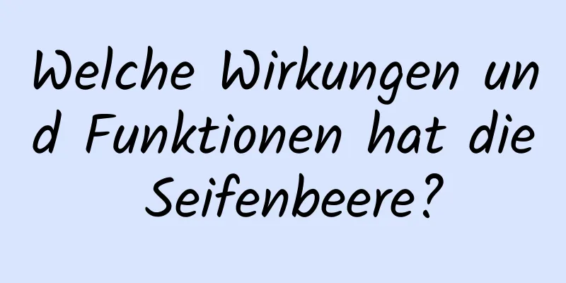 Welche Wirkungen und Funktionen hat die Seifenbeere?