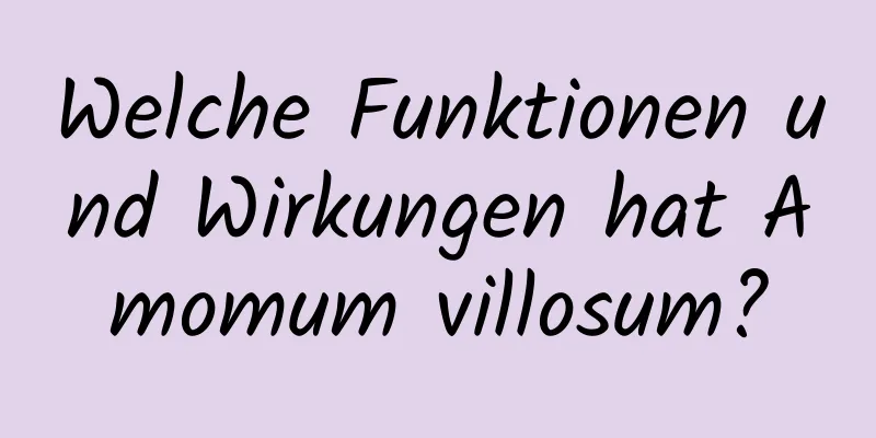 Welche Funktionen und Wirkungen hat Amomum villosum?