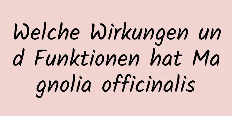 Welche Wirkungen und Funktionen hat Magnolia officinalis