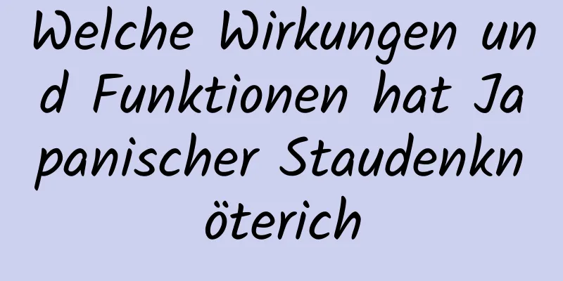 Welche Wirkungen und Funktionen hat Japanischer Staudenknöterich