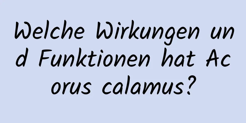 Welche Wirkungen und Funktionen hat Acorus calamus?