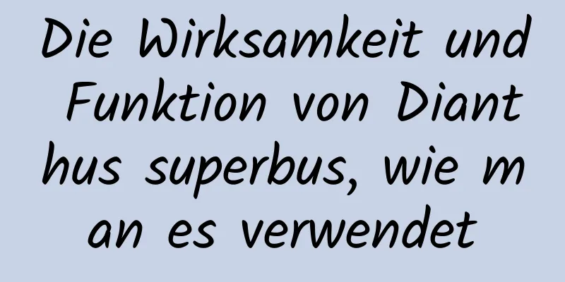 Die Wirksamkeit und Funktion von Dianthus superbus, wie man es verwendet