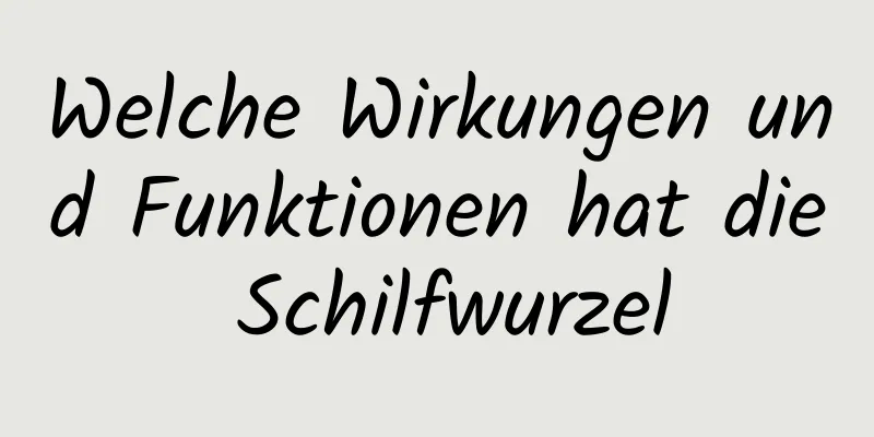 Welche Wirkungen und Funktionen hat die Schilfwurzel