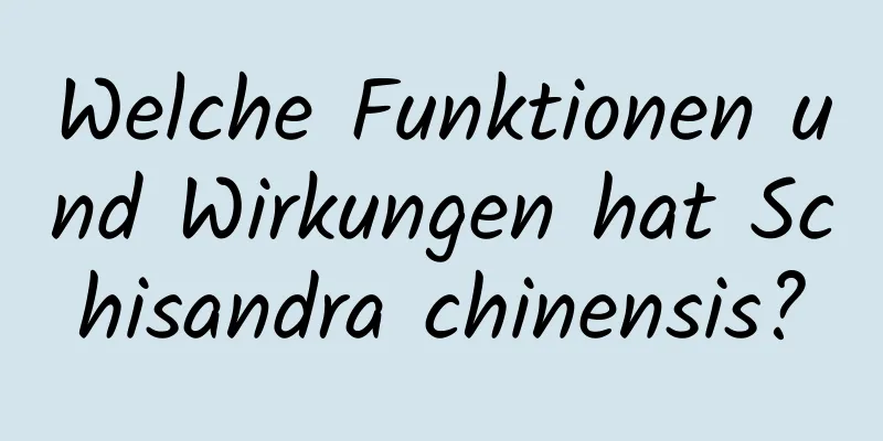 Welche Funktionen und Wirkungen hat Schisandra chinensis?