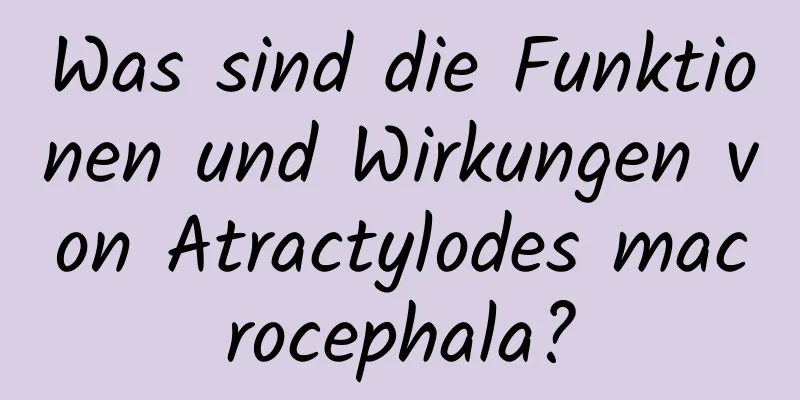 Was sind die Funktionen und Wirkungen von Atractylodes macrocephala?