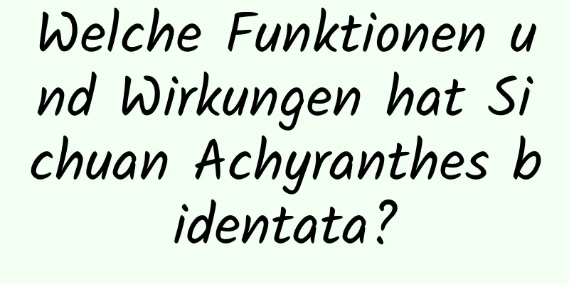 Welche Funktionen und Wirkungen hat Sichuan Achyranthes bidentata?