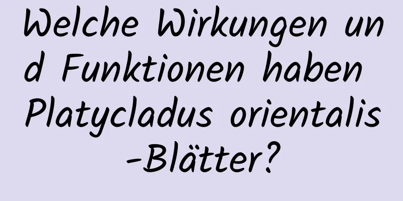 Welche Wirkungen und Funktionen haben Platycladus orientalis-Blätter?