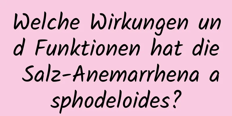 Welche Wirkungen und Funktionen hat die Salz-Anemarrhena asphodeloides?