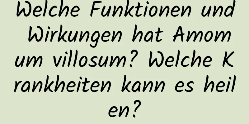 Welche Funktionen und Wirkungen hat Amomum villosum? Welche Krankheiten kann es heilen?