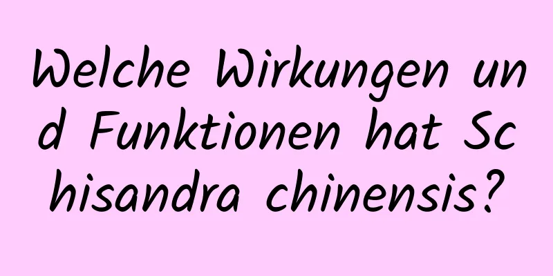 Welche Wirkungen und Funktionen hat Schisandra chinensis?