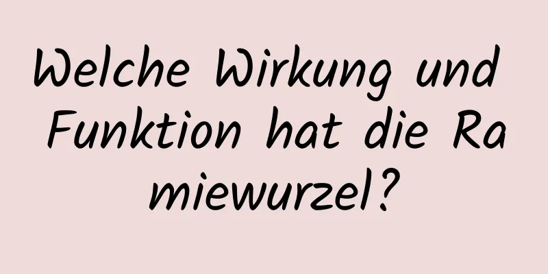 Welche Wirkung und Funktion hat die Ramiewurzel?