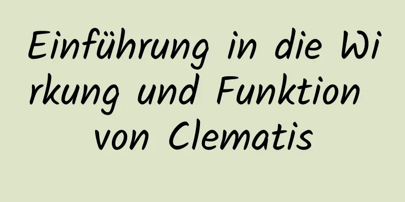 Einführung in die Wirkung und Funktion von Clematis