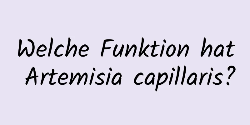 Welche Funktion hat Artemisia capillaris?