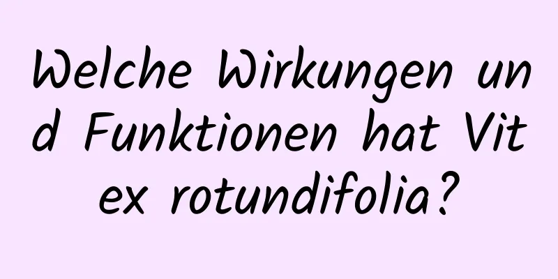 Welche Wirkungen und Funktionen hat Vitex rotundifolia?