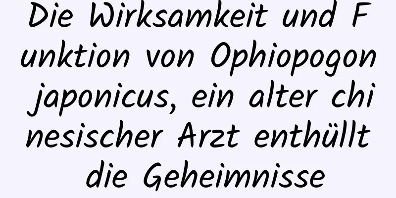 Die Wirksamkeit und Funktion von Ophiopogon japonicus, ein alter chinesischer Arzt enthüllt die Geheimnisse