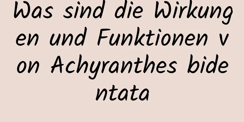 Was sind die Wirkungen und Funktionen von Achyranthes bidentata