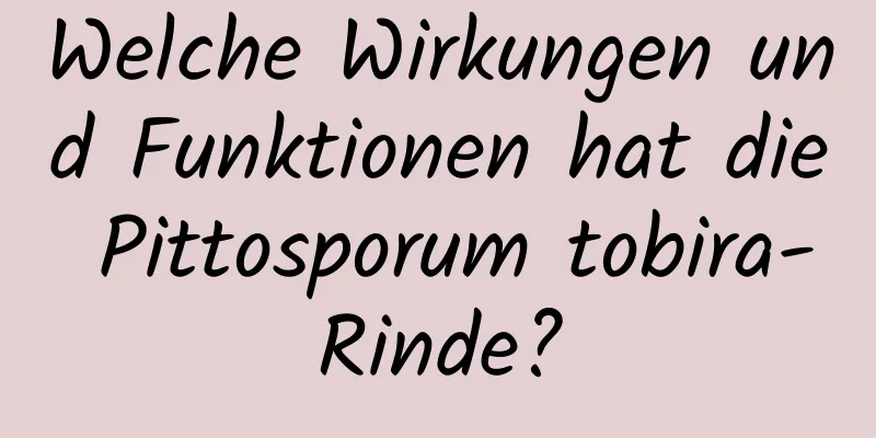 Welche Wirkungen und Funktionen hat die Pittosporum tobira-Rinde?