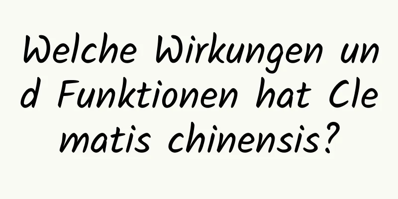 Welche Wirkungen und Funktionen hat Clematis chinensis?