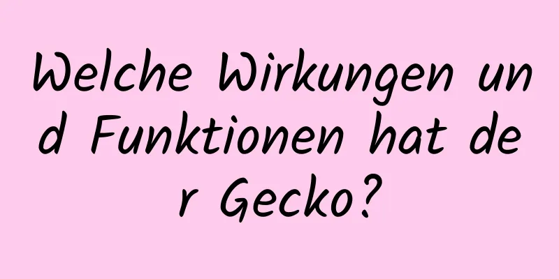 Welche Wirkungen und Funktionen hat der Gecko?