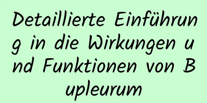 Detaillierte Einführung in die Wirkungen und Funktionen von Bupleurum