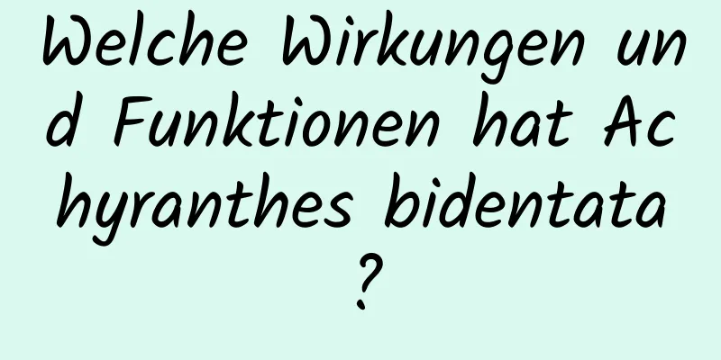 Welche Wirkungen und Funktionen hat Achyranthes bidentata?