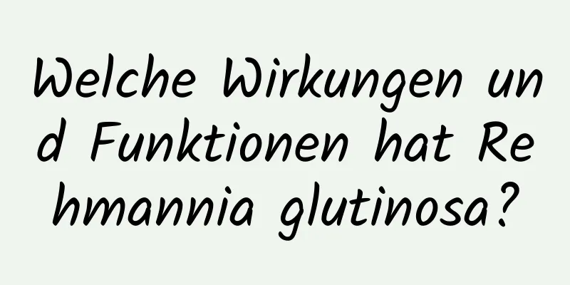 Welche Wirkungen und Funktionen hat Rehmannia glutinosa?