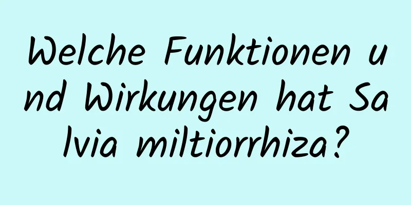 Welche Funktionen und Wirkungen hat Salvia miltiorrhiza?