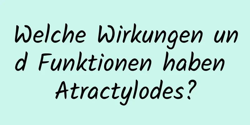 Welche Wirkungen und Funktionen haben Atractylodes?