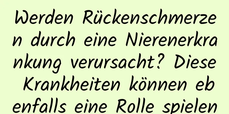 Werden Rückenschmerzen durch eine Nierenerkrankung verursacht? Diese Krankheiten können ebenfalls eine Rolle spielen