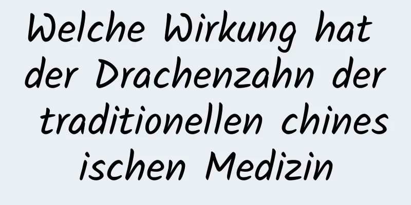 Welche Wirkung hat der Drachenzahn der traditionellen chinesischen Medizin