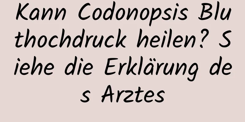 Kann Codonopsis Bluthochdruck heilen? Siehe die Erklärung des Arztes