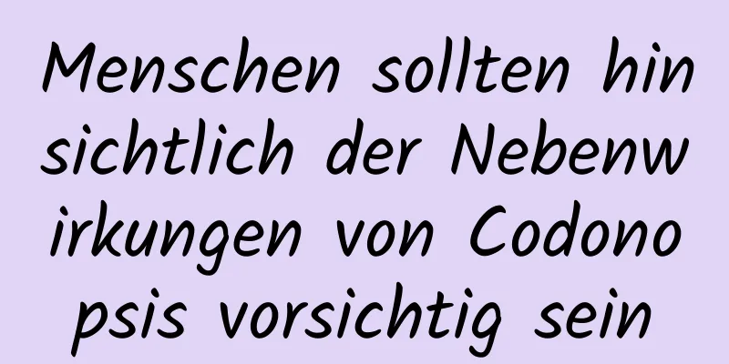 Menschen sollten hinsichtlich der Nebenwirkungen von Codonopsis vorsichtig sein