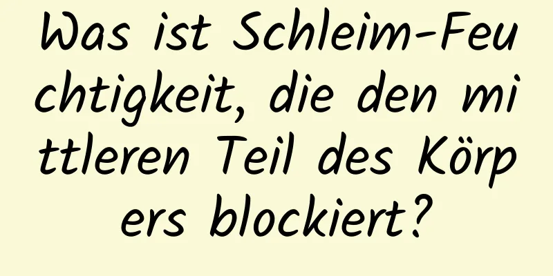 Was ist Schleim-Feuchtigkeit, die den mittleren Teil des Körpers blockiert?