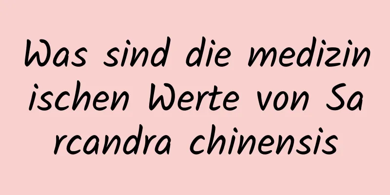 Was sind die medizinischen Werte von Sarcandra chinensis