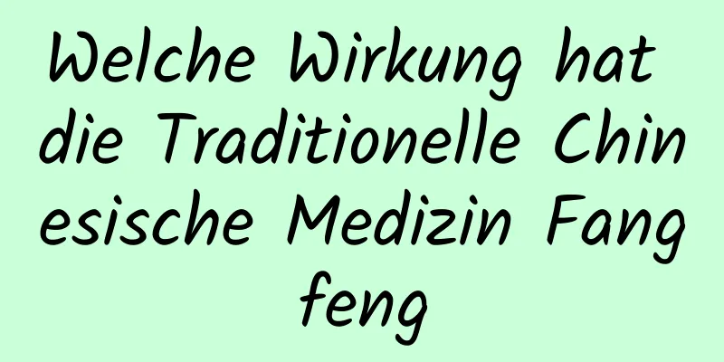 Welche Wirkung hat die Traditionelle Chinesische Medizin Fangfeng