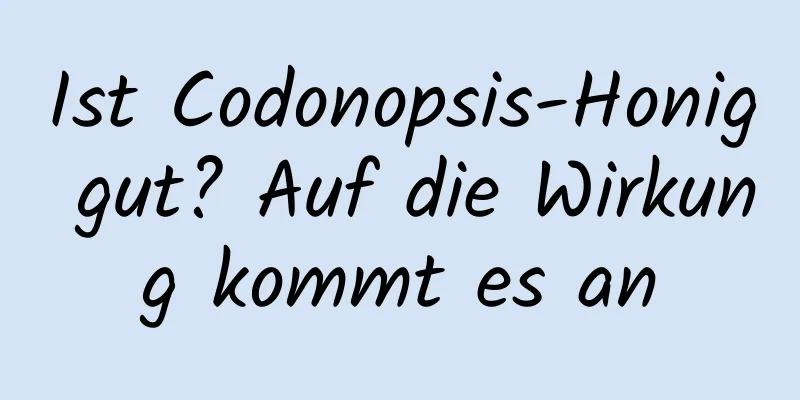 Ist Codonopsis-Honig gut? Auf die Wirkung kommt es an