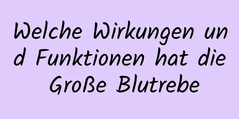 Welche Wirkungen und Funktionen hat die Große Blutrebe