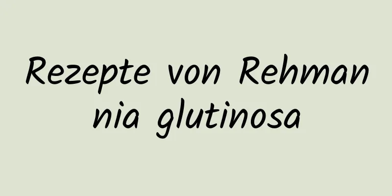 Rezepte von Rehmannia glutinosa