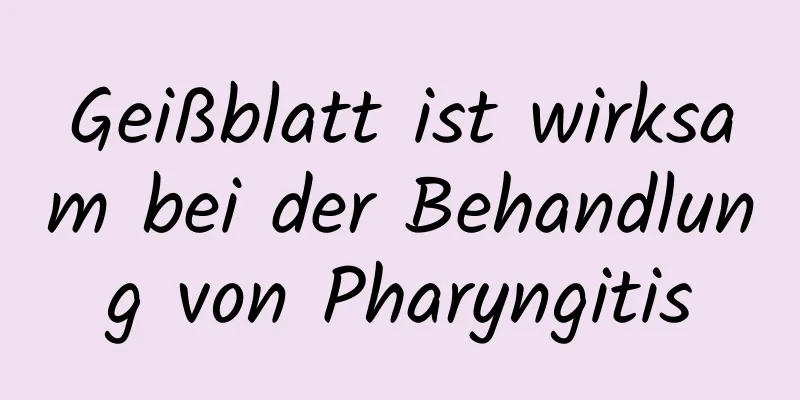 Geißblatt ist wirksam bei der Behandlung von Pharyngitis