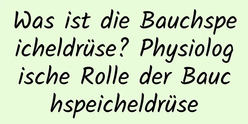 Was ist die Bauchspeicheldrüse? Physiologische Rolle der Bauchspeicheldrüse